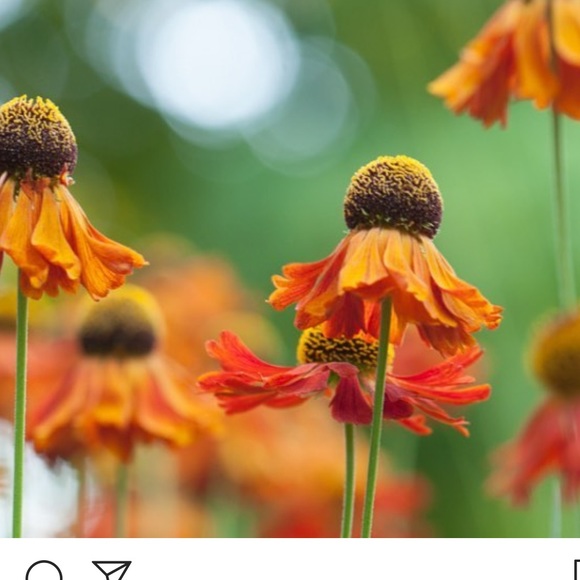 Meet your Posher, Marg - Picture 1 of 1